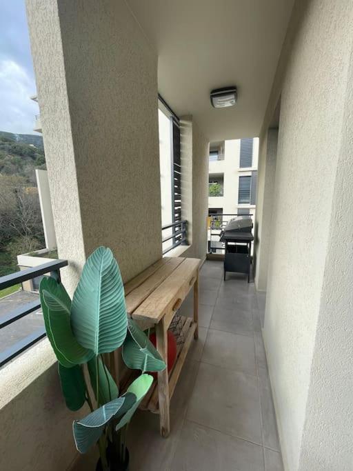 Appartement Calme Proche Bastia Cardo エクステリア 写真