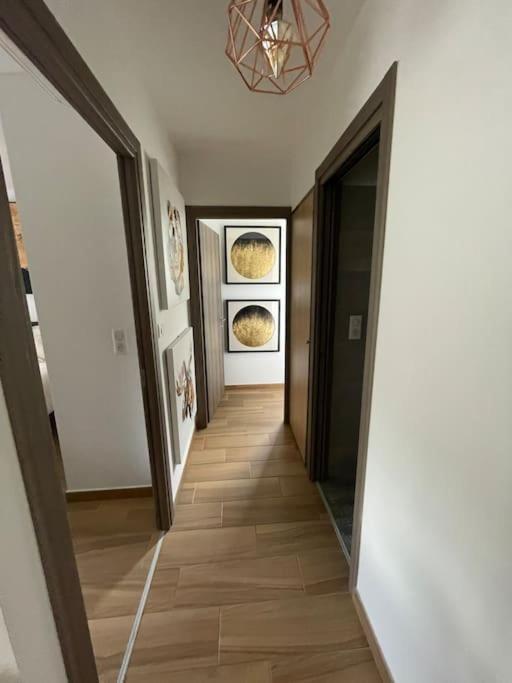 Appartement Calme Proche Bastia Cardo エクステリア 写真