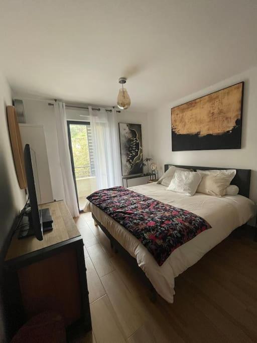 Appartement Calme Proche Bastia Cardo エクステリア 写真