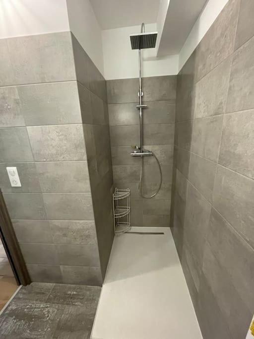 Appartement Calme Proche Bastia Cardo エクステリア 写真
